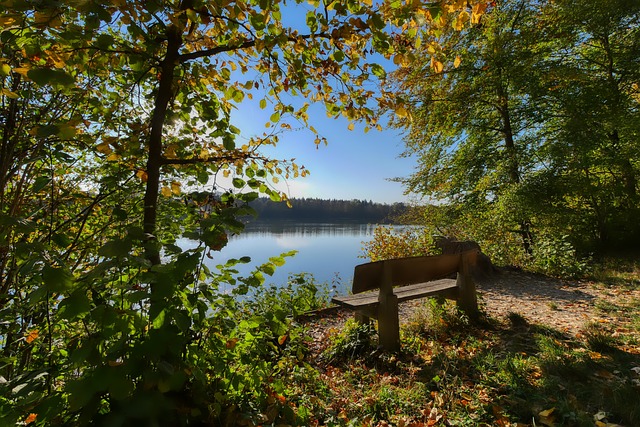 球智商的完 球智商的完
