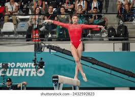 仅在联盟中 仅在联盟中