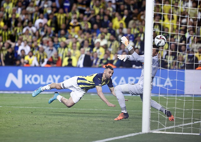 内马尔在职 内马尔在职