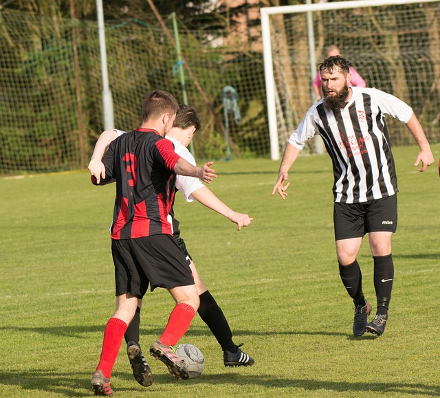 不拔的中国 不拔的中国