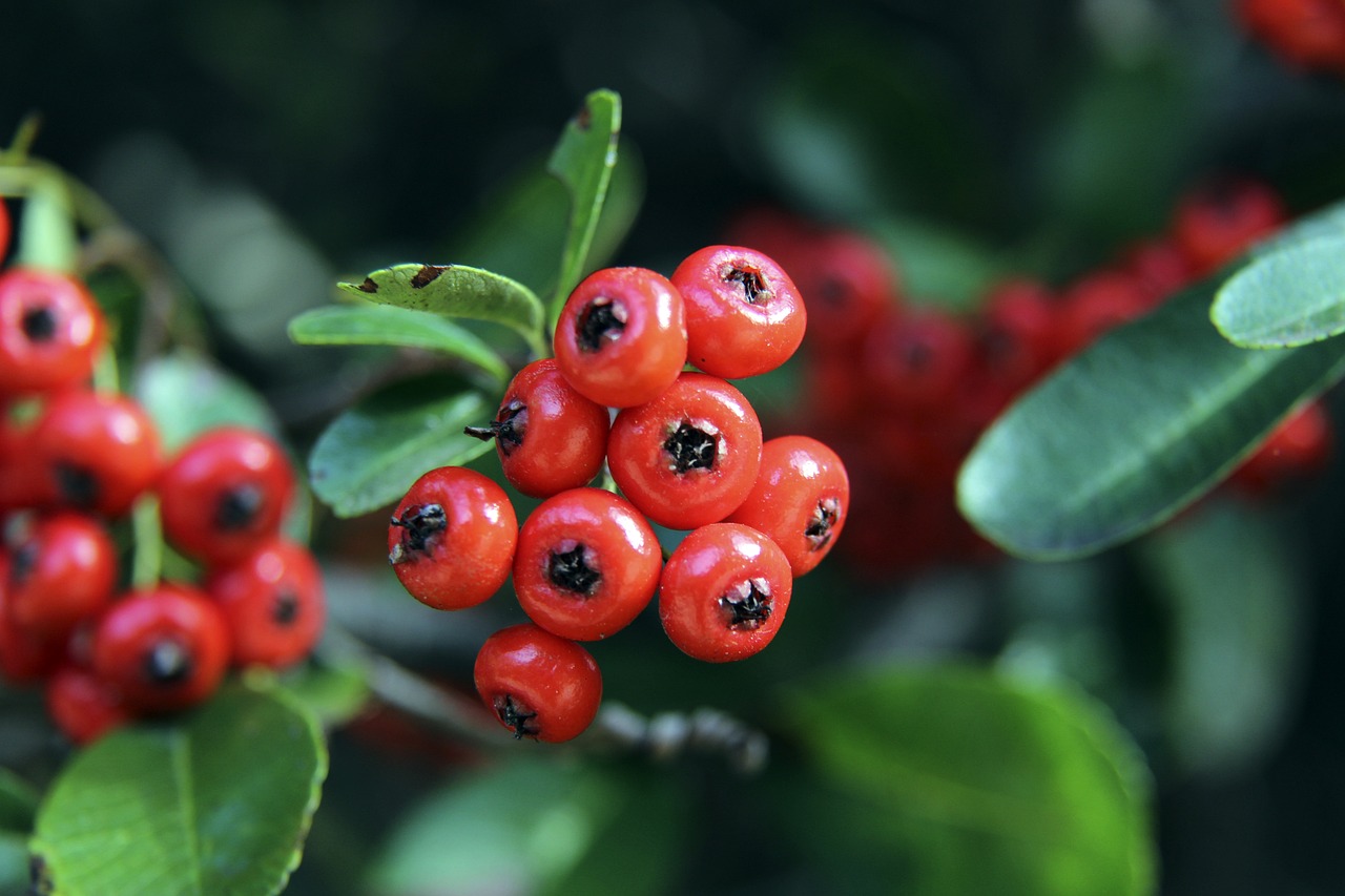 再次彰显了 再次彰显了