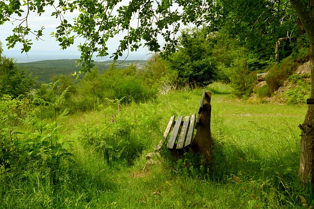 新踏上巔峰 新踏上巔峰
