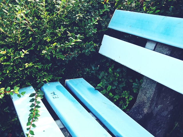 浙江衢州柯 浙江衢州柯