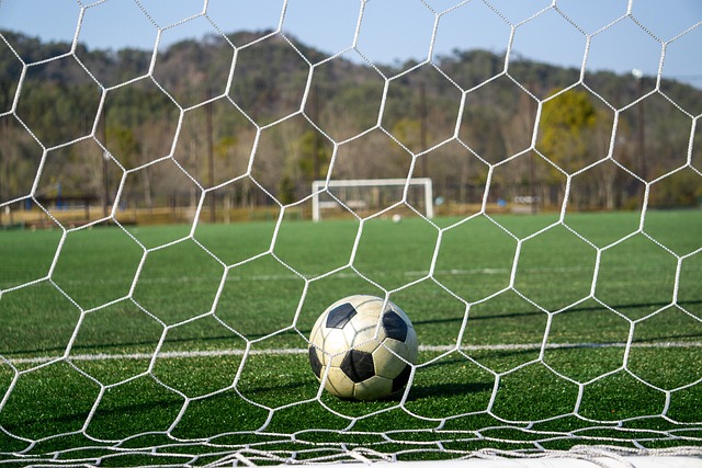 总而言之 总而言之