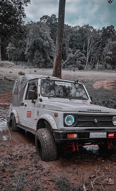 潜力的玩家 潜力的玩家