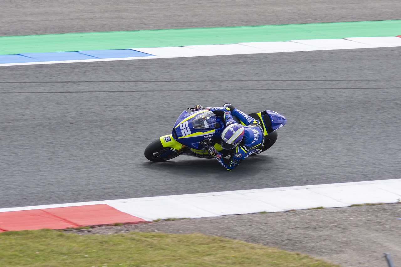 各支球队本 各支球队本